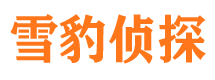 海伦市调查公司